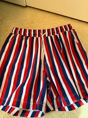 Show Me Your Mumu Red Striped Swim Trunks